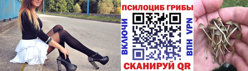 Купить закладки  Торжок  Галлюциногенные грибы Magic Shrooms 